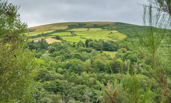 View from Afan Forest Park